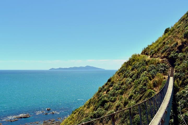 Escarpment Track Guided Hike: Kāpiti Coast Stairway to Heaven Day Trip