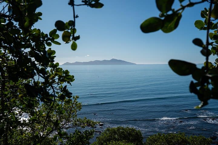 Escarpment Track Guided Hike: Kāpiti Coast Stairway to Heaven Day Trip photo 3