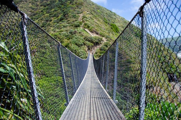 Escarpment Track Guided Hike: Kāpiti Coast Stairway to Heaven Day Trip photo 4
