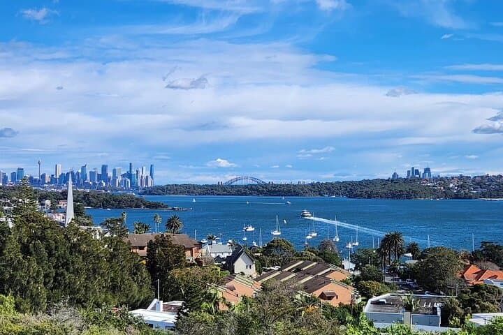 Auckland Half-Day Highlights: Harbour Bridge, Mt Eden & Devonport photo 4