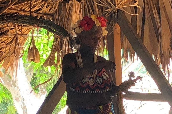 Chagres River Embera Village Tour: Boat, Hike & Waterfall Experience from Panama City photo 4