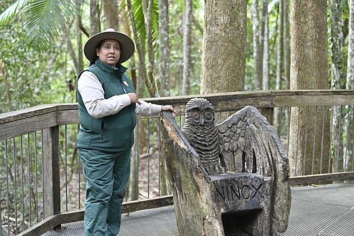 Sea Acres Aboriginal Rainforest Walk: Port Macquarie Cultural Tour
