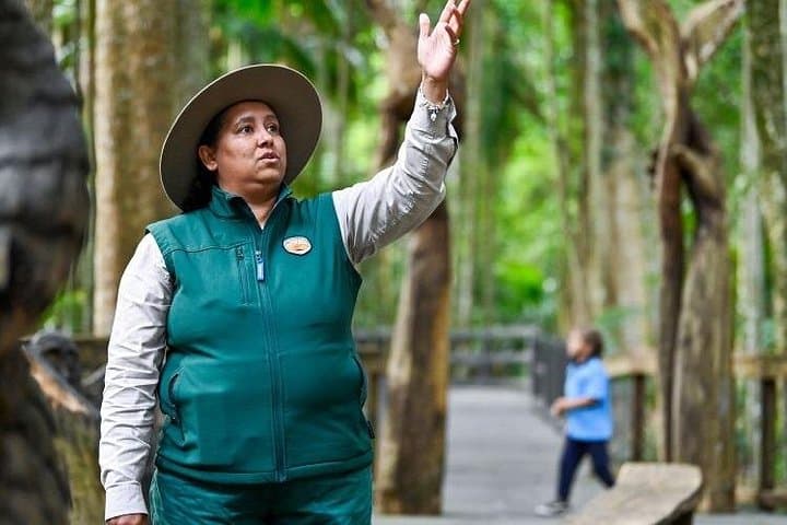 Sea Acres Aboriginal Rainforest Walk: Port Macquarie Cultural Tour photo 3