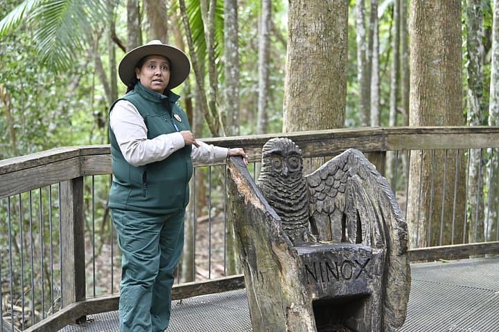 Sea Acres Aboriginal Coastal Tour — Rainforest Walk to Shelly Beach photo 5