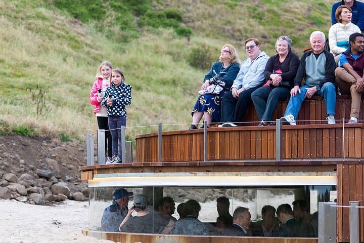 Phillip Island Penguin Parade: Luxury Wildlife Tour from Melbourne