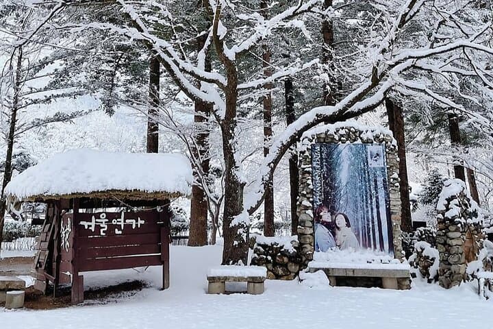 Seoul Day Trip: Eobi Ice Valley, Nami Island & Hanbok Experience (Rail Bike or Strawberry Option) photo 6