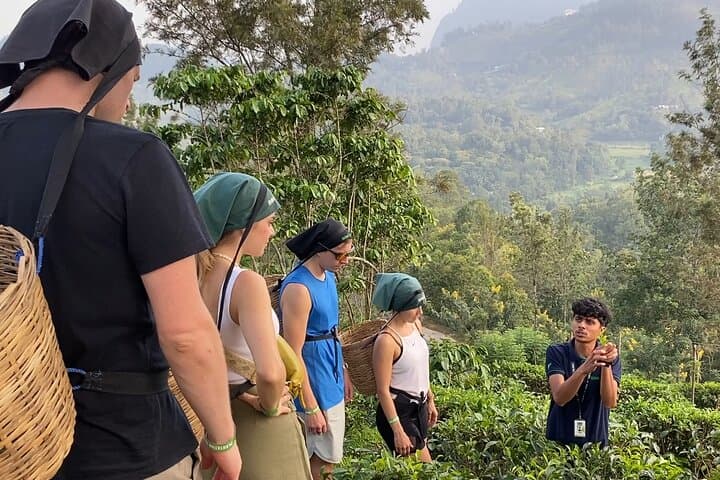 Ella in a Day: Nine Arch Bridge, Little Adam’s Peak, Tea Estate & Home Cooking photo 2
