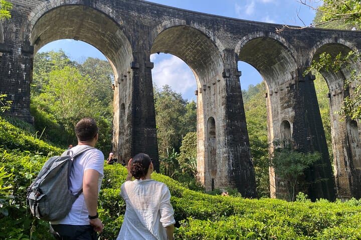 Ella in a Day: Nine Arch Bridge, Little Adam’s Peak, Tea Estate & Home Cooking photo 3
