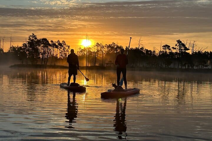 Riga Sunrise Paddleboard Tour to Cenas Tirelis Bog Lake photo 4