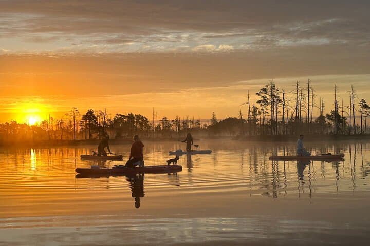 Riga Sunrise Paddleboard Tour to Cenas Tirelis Bog Lake photo 2