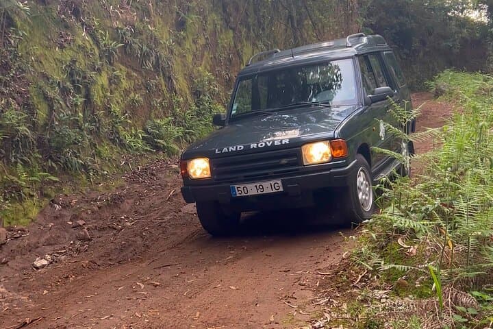 Madeira Full-Day Volcanic Pools, Fanal Laurel Forest & Sunset Tour photo 6