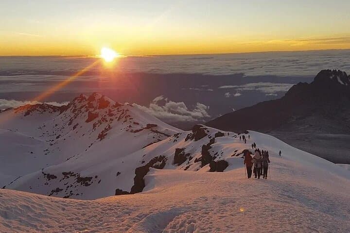 Lemosho Route Kilimanjaro: 8-Day Ascent to Uhuru Peak photo 6