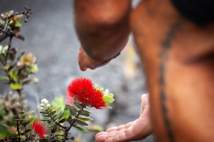 Private Hawaii Volcanoes & Forests Mindfulness Tour | Volcanoes National Park Guided Walk photo 3