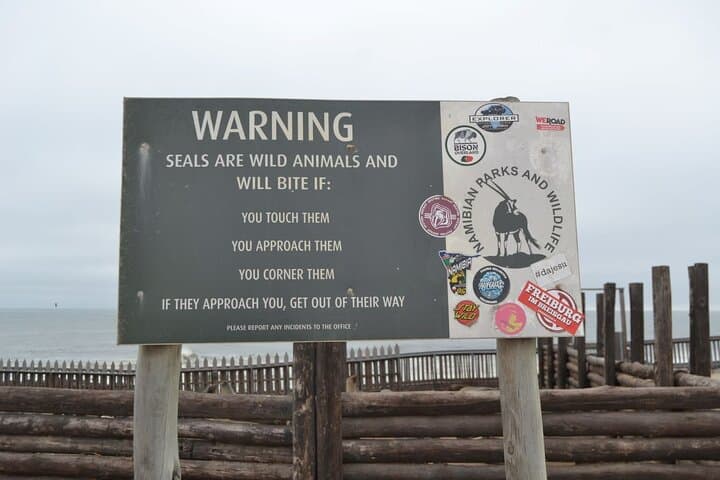 Skeleton Coast Day Tour: Shipwrecks, Seals & Cape Cross from Swakopmund photo 4