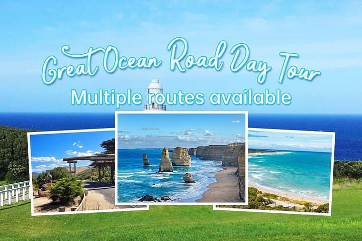 Great Ocean Road Private Day Tour — Twelve Apostles, Otways & Coastal Wildlife photo 1