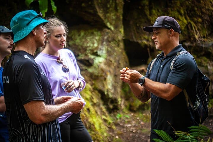 Private Hawaii Volcanoes & Forests Mindfulness Tour | Volcanoes National Park Guided Walk