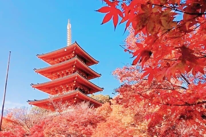 Amanohashidate & Ine Bay Day Tour from Osaka/Kyoto — Nariaiji Temple, Cable Car and Funaya Cruise