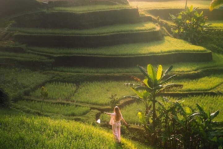 Private Bali Car Tour With English-Speaking Driver — Ubud, Temples & Coast photo 5