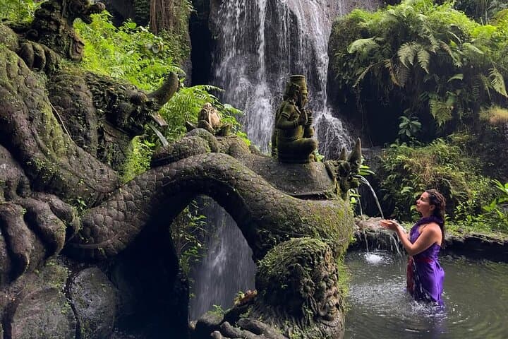 Private Bali Car Tour With English-Speaking Driver — Ubud, Temples & Coast photo 6
