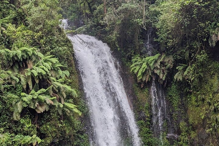 Diego Suarez to Ankify — 6-Day Northern Madagascar Adventure photo 6