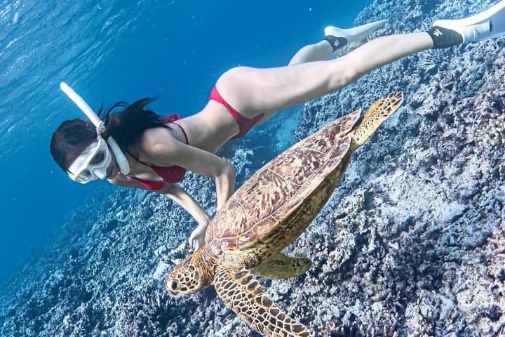 Blue Lagoon Snorkel & Tibumana Waterfall Day Trip from Padangbai