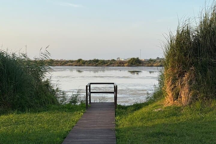 Bird Watching in Aveiro: Guided Ria de Aveiro Salt Pans Walk photo 4