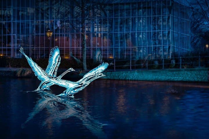 Cruise the Amsterdam Light Festival: 75‑Minute Canal Tour with Drinks & Snacks photo 4