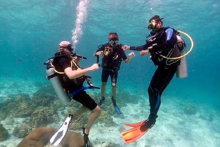 Marsa Alam PADI Advanced Open Water Course: 2-Day Boat Dives & Certification photo 6