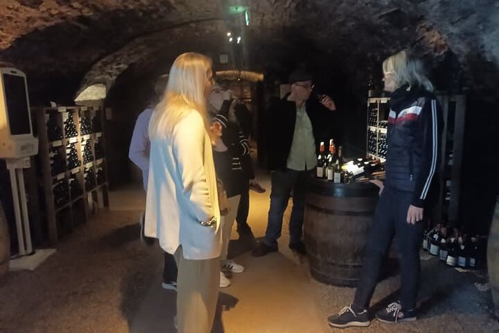 Private Beaune Tour: Hospices, Grands Crus & Exclusive Wine Tastings photo 6