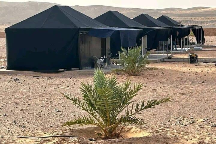 5-Day Merzouga Fossil Hunting & Sahara Desert Camp Adventure