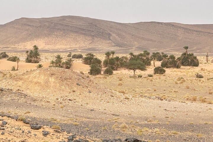 5-Day Merzouga Fossil Hunting & Sahara Desert Camp Adventure photo 2