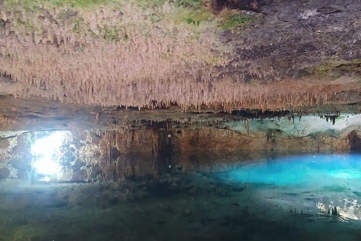 Cancun Zipline, ATV & Cenote Adventure — Full-Day Jungle Tour with Lunch photo 3