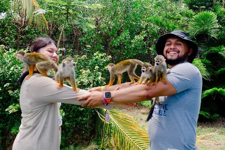 Puerto Plata Monkeyland, Damajagua Waterfalls & Buggy Adventure — Full-Day Tour photo 2