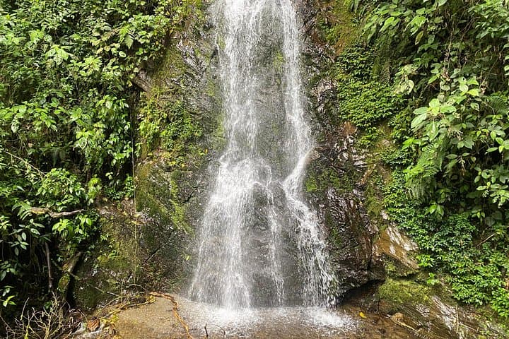 Secret Waterfalls of Cocora Valley: Private 4 km Hike Among Wax Palms photo 1