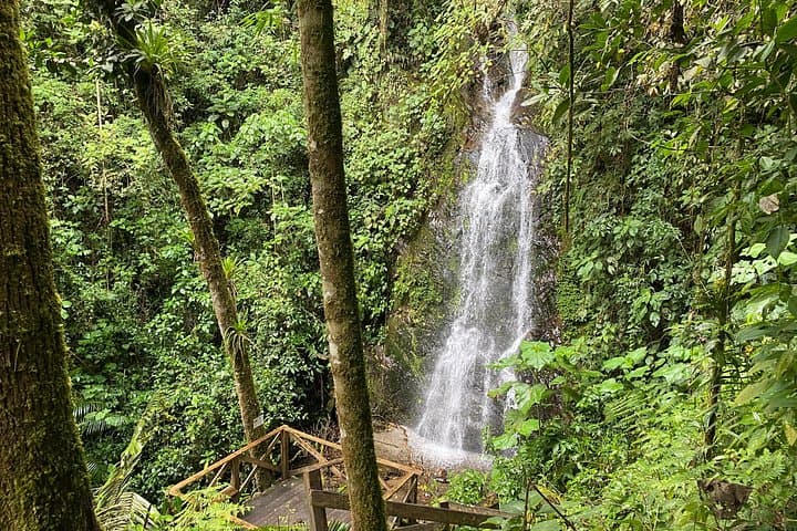 Secret Waterfalls of Cocora Valley: Private 4 km Hike Among Wax Palms photo 4
