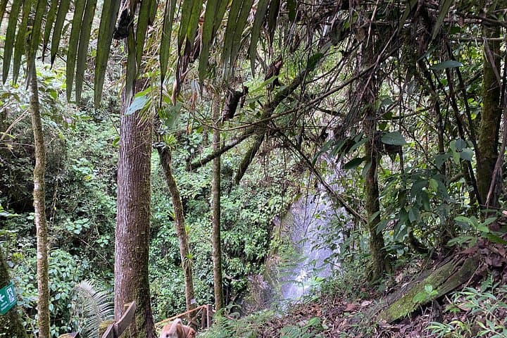Secret Waterfalls of Cocora Valley: Private 4 km Hike Among Wax Palms photo 3