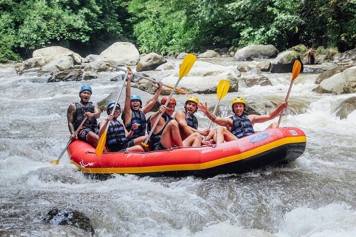 Ayung River White Water Rafting from Ubud — All‑Inclusive Tour with Lunch & Private Transport