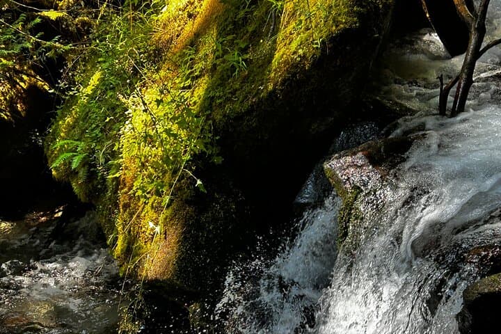 Lindeman and Chilliwack Lakes Sightseeing Tour — Turquoise Waters & Forested Trails photo 5
