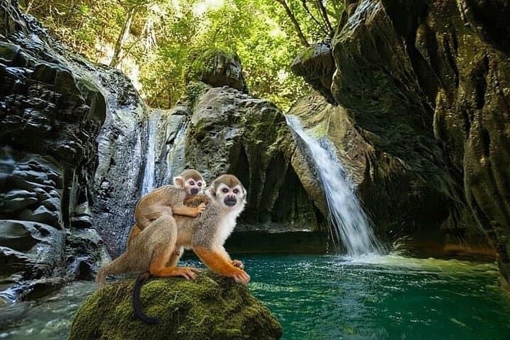 Damajagua Waterfalls and Monkeyland Combo Tour — Puerto Plata Day Trip