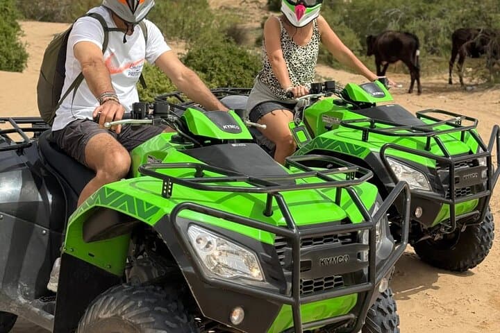 Essaouira Half-Day Quad Biking — Dunes, Wild Beaches & Argan Forest Trails photo 3