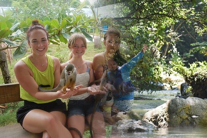 Damajagua Waterfalls & Monkey Home: Puerto Plata Full-Day Adventure