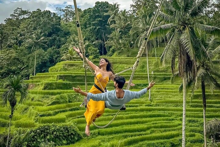 Ubud Monkey Forest, Tegalalang Rice Terraces & Jungle Swing — Full-Day Ubud Tour