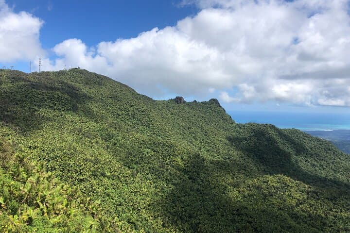 Explore El Yunque National Forest: 6-Hour Guided Nature Adventure from San Juan