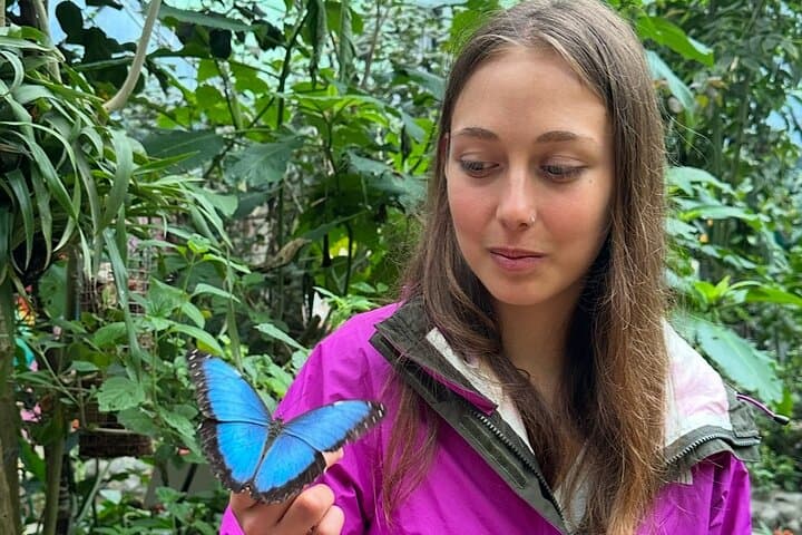 Mindo Cloud Forest Guided Tour: Hummingbirds, Waterfalls & Butterfly Garden photo 5