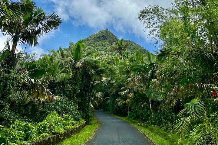 Explore El Yunque National Forest: 6-Hour Guided Nature Adventure from San Juan photo 5