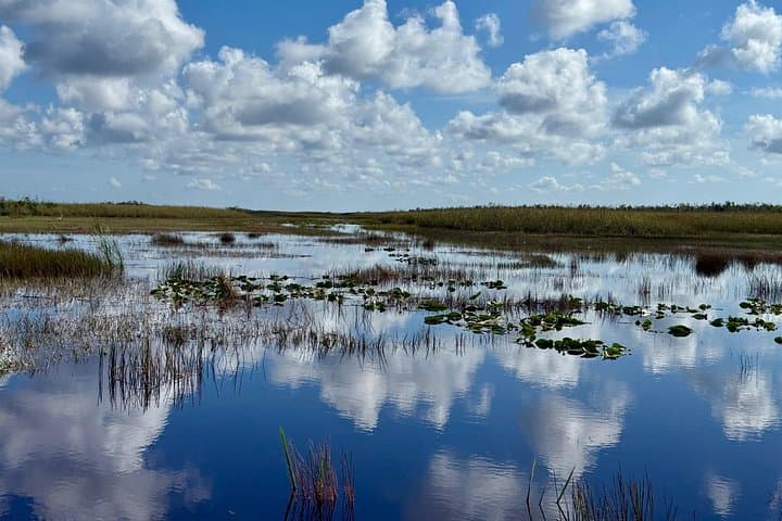 Everglades Eco Airboat Tour: Miccosukee Islands & Small-Group Wetlands Ride photo 2