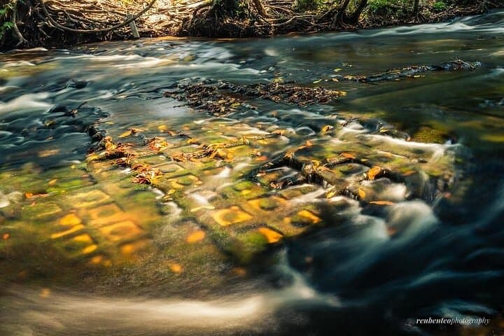 Phnom Kulen Day Tour: Kulen Waterfall & River of a Thousand Lingas Small-Group Adventure photo 3