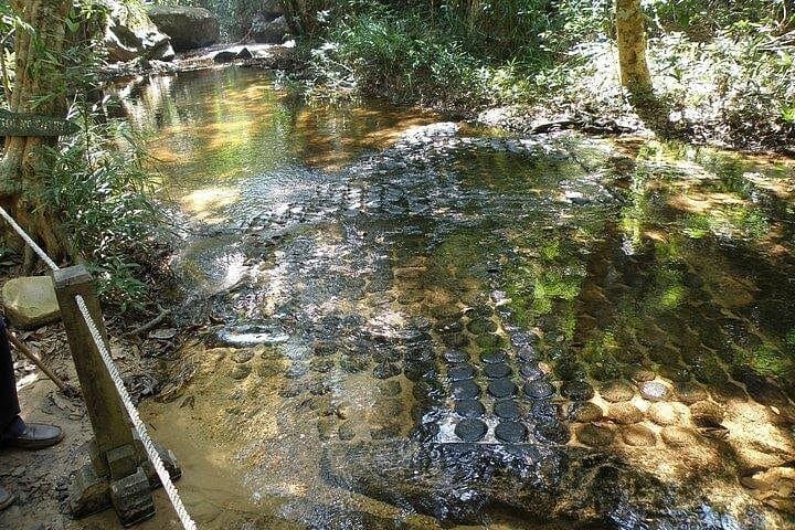 Phnom Kulen Day Trip: Waterfalls, River of a Thousand Lingas & Giant Reclining Buddha photo 2