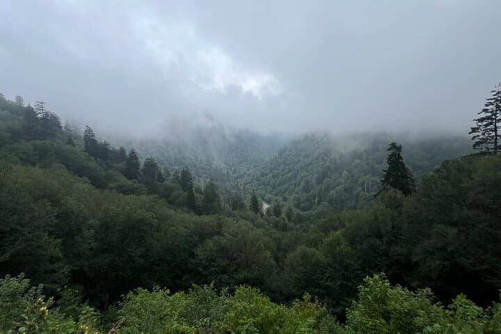 Guided Art Hikes in Great Smoky Mountains National Park: Paint & Hike Tours photo 3