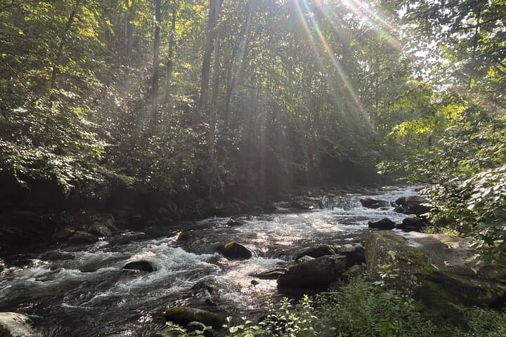 Guided Art Hikes in Great Smoky Mountains National Park: Paint & Hike Tours photo 2